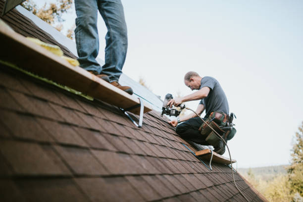 Quick and Trustworthy Emergency Roof Repair Services in Highlands Ranch, CO